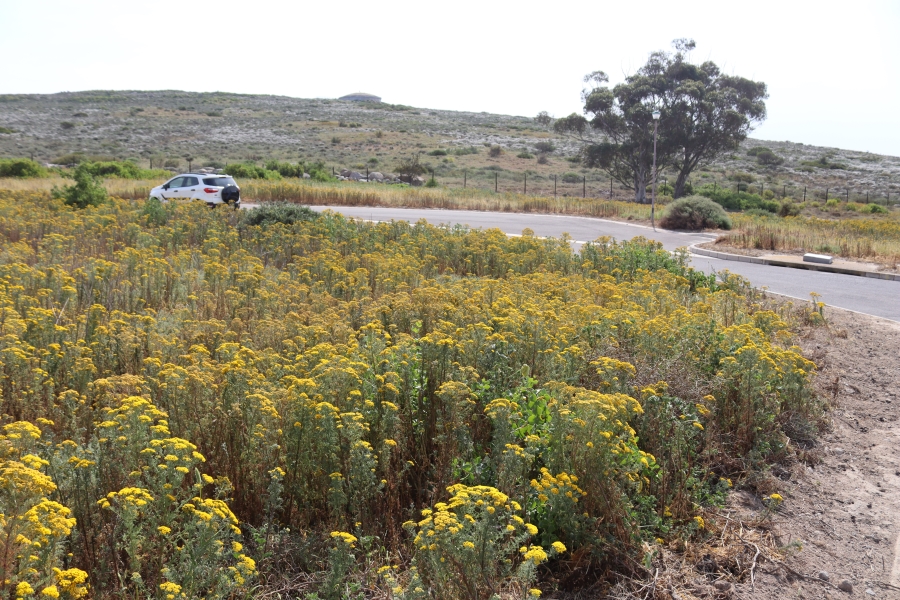 0 Bedroom Property for Sale in St Helena Views Western Cape